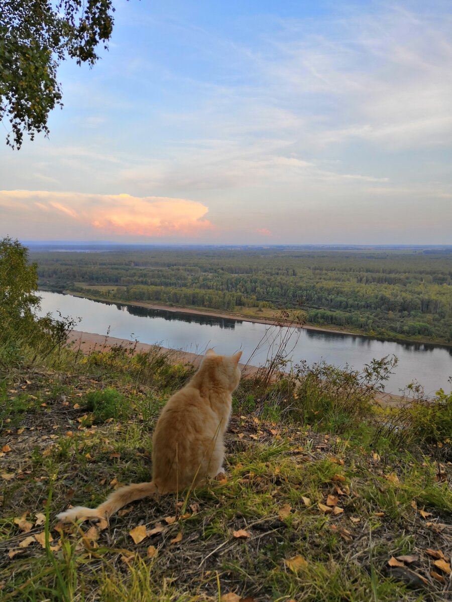 Код в дзен...