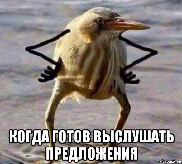 Как продвигать товар с небольшим бюджетом?