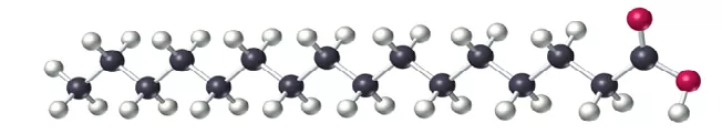 Насыщенная жирная кислота. Пальмитиновая кислота.