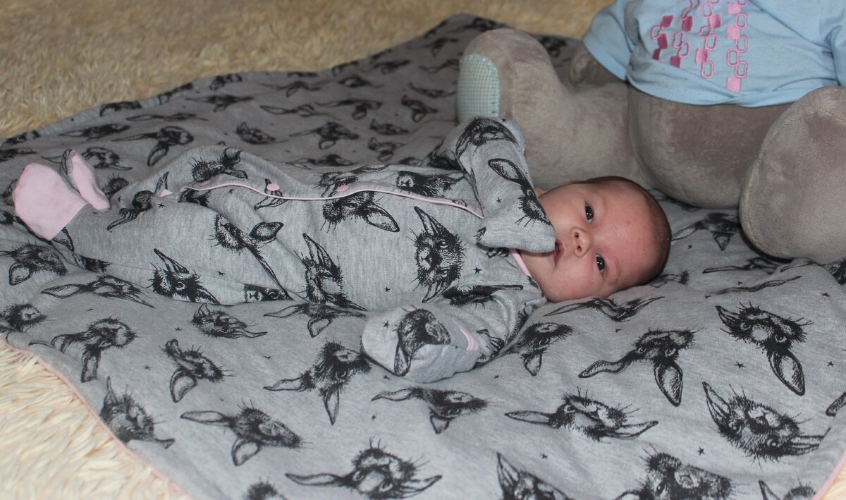 Фото автора Дзен канала Растим много детей https://zen.yandex.ru/rastimdetej