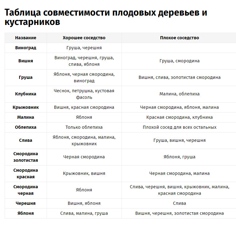 Таблица совместимости деревьев. Таблица совместимости плодовых деревьев и кустарников в саду таблица. Таблица соседства плодовых деревьев. Совместимость плодовых деревьев и кустарников в саду таблица. Соседство плодовых деревьев и кустарников таблица.