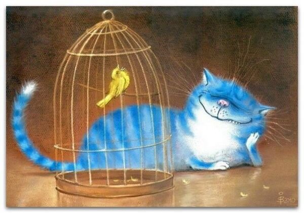 Фото взято из открытых источников, для иллюстрации.