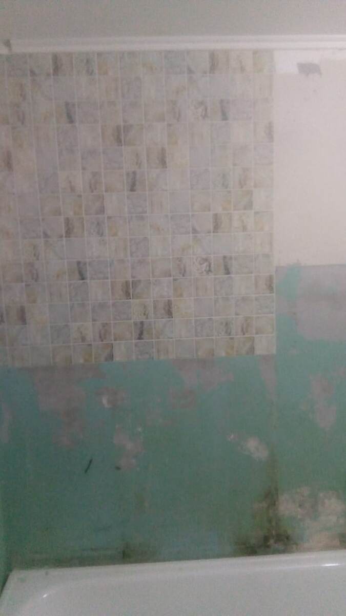 картина дня 