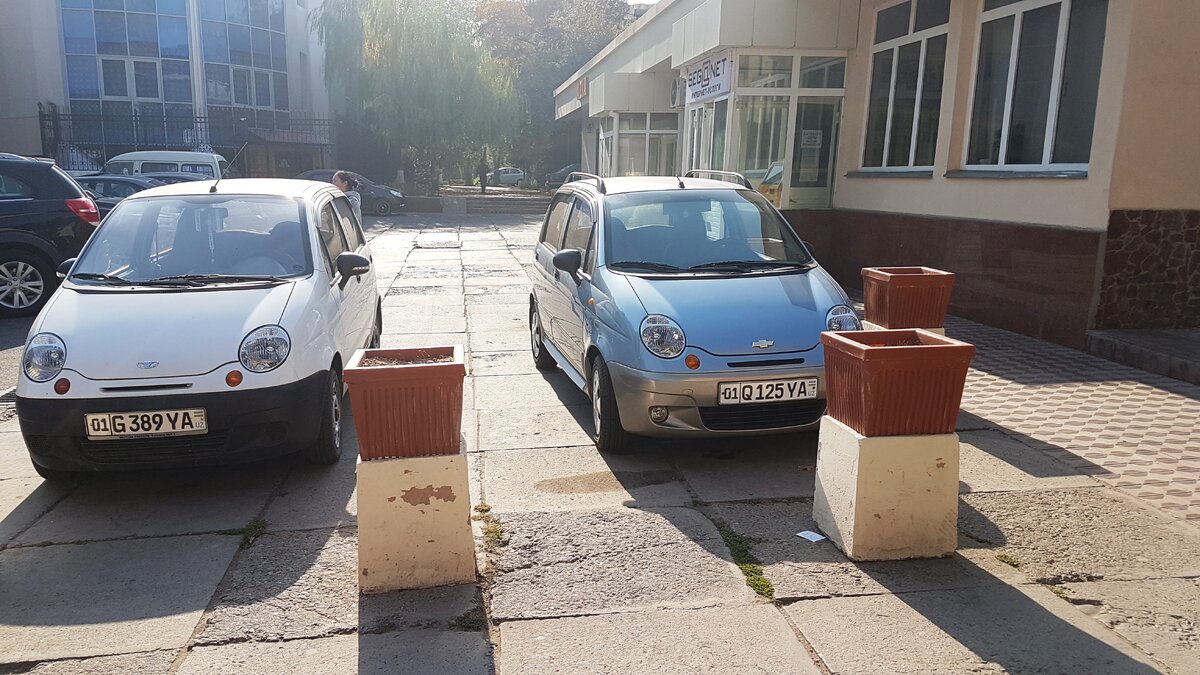 Белые машины тут очень любят.