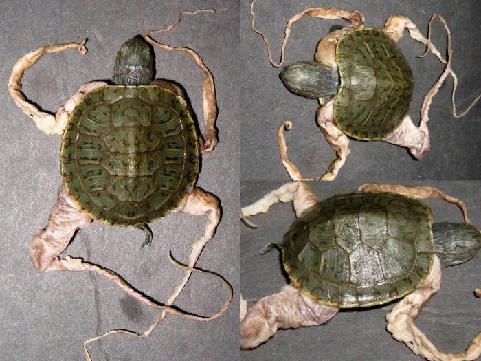 Фотография с интернета.