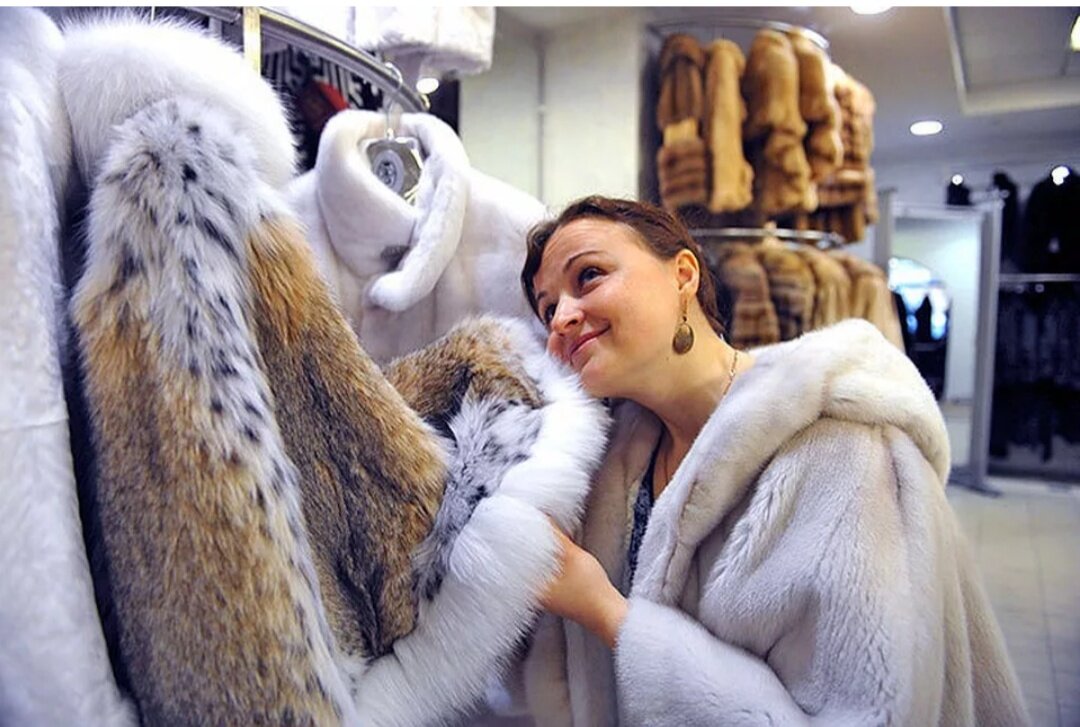 Картинка из открытых источников