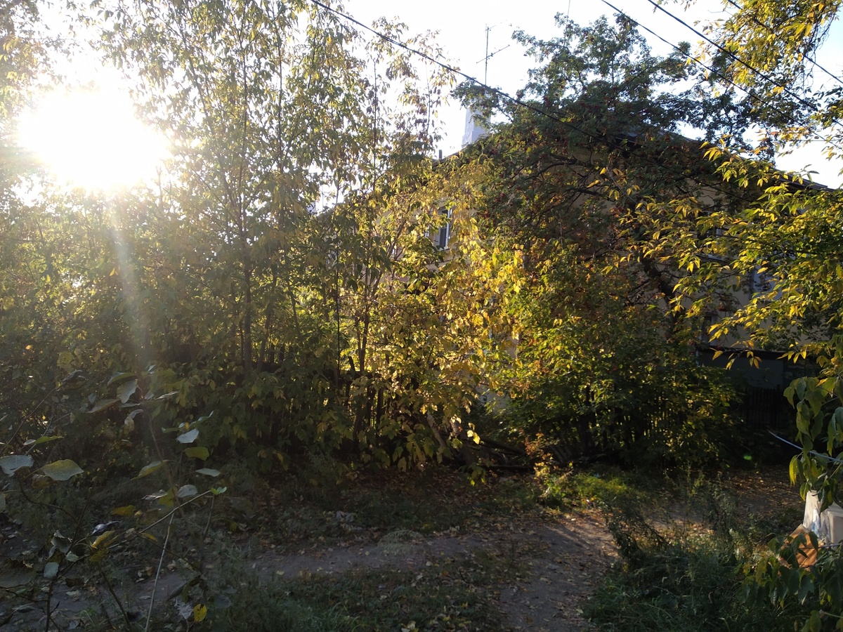 вот какое солнышко было на днях. это тропка через маленький лесочек неподалёку. 