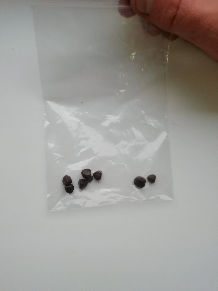 Камешки воплоти. 