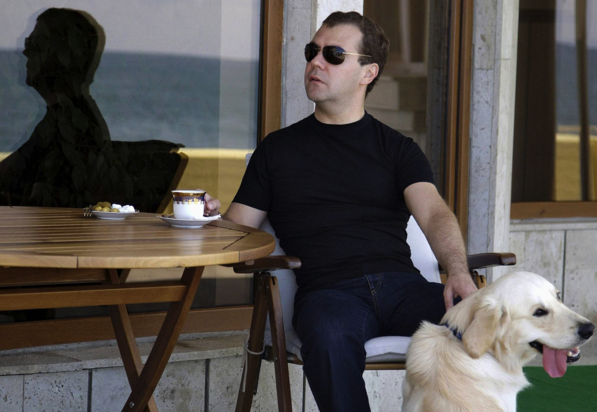 фоток Медведева с собаками не так много в открытом доступе, эту нашел в яндексе