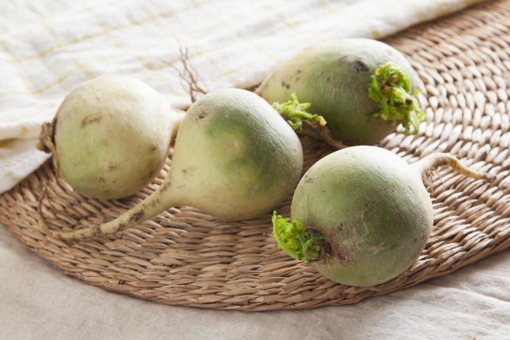 Зеленая редька - ее полезные свойства, вред