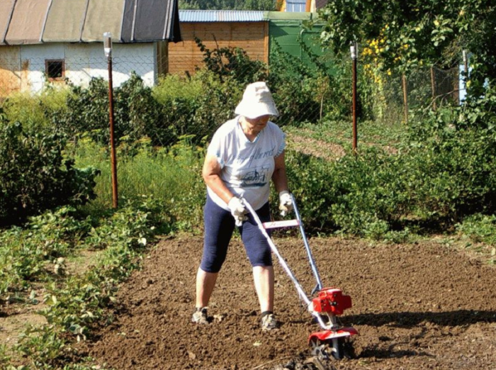 фото:http://dnevnik-pensionerki.ru