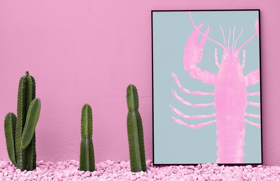https://pixabay.com/photos/nature-desktop-flower-board-cactus-3190205/