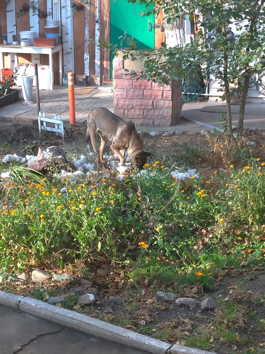 Работа кипит.