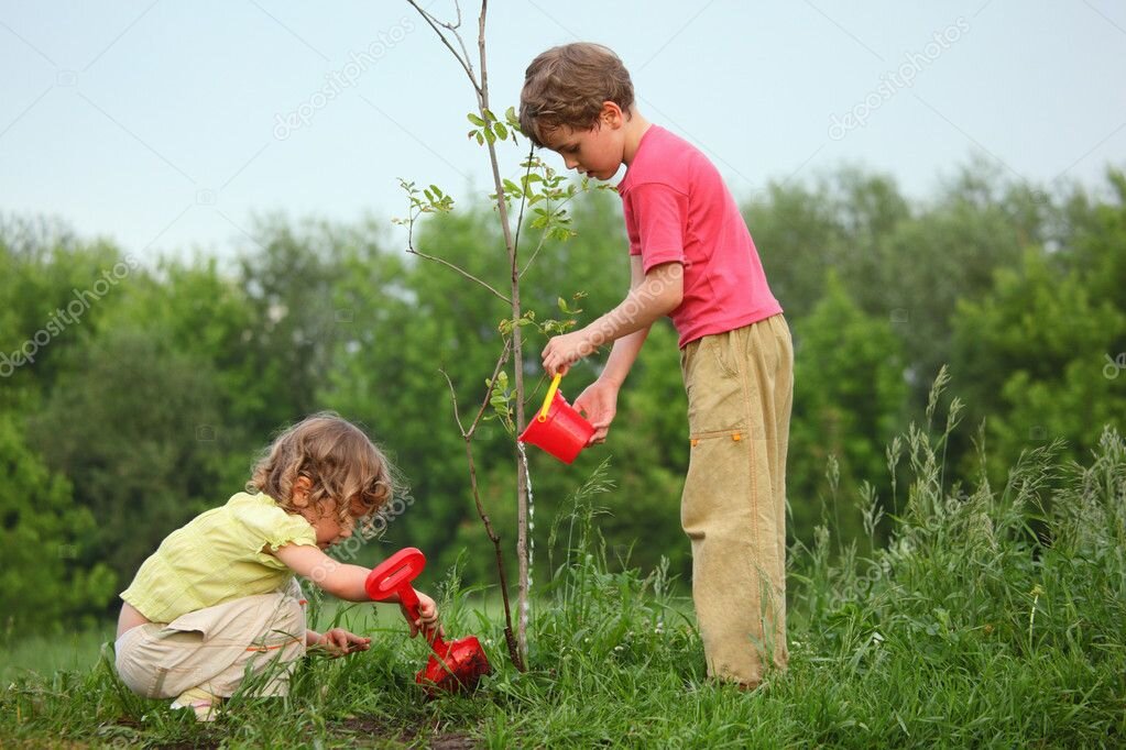 https://ru.depositphotos.com/7427791/stock-photo-kids-plant-the-tree.html