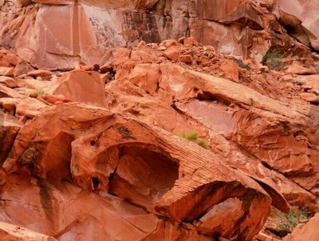 Фото взято из открытых источников