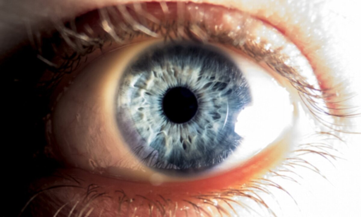 Фото: dailymail.co.uk