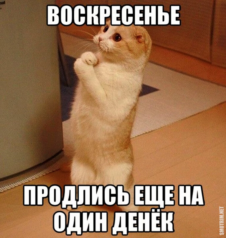 Фото: Яндекс