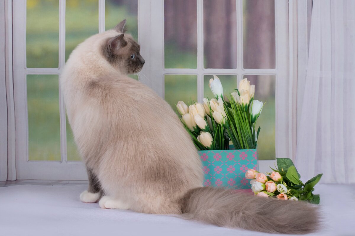 У нее часики не тикают. И в окно она смотрит просто так))