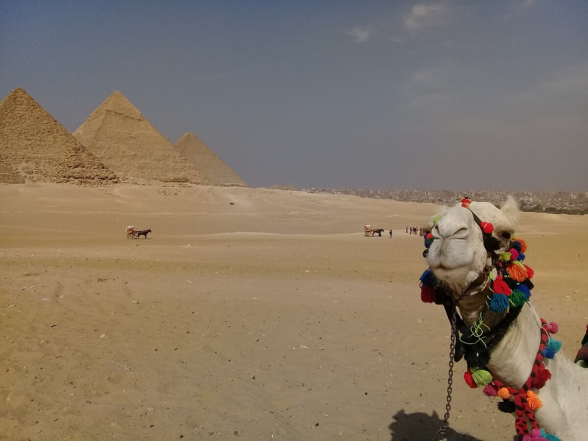 Фото автора.