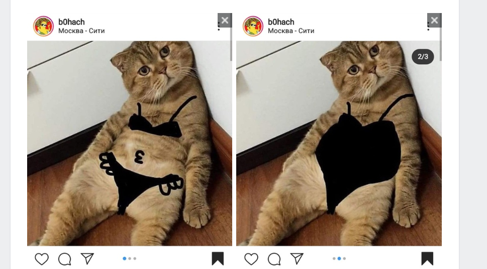 нет, это не он! зато если вы хотите нарядить любимца без вреда его моральному состоянию - есть такой вполне безопасный вариант :)