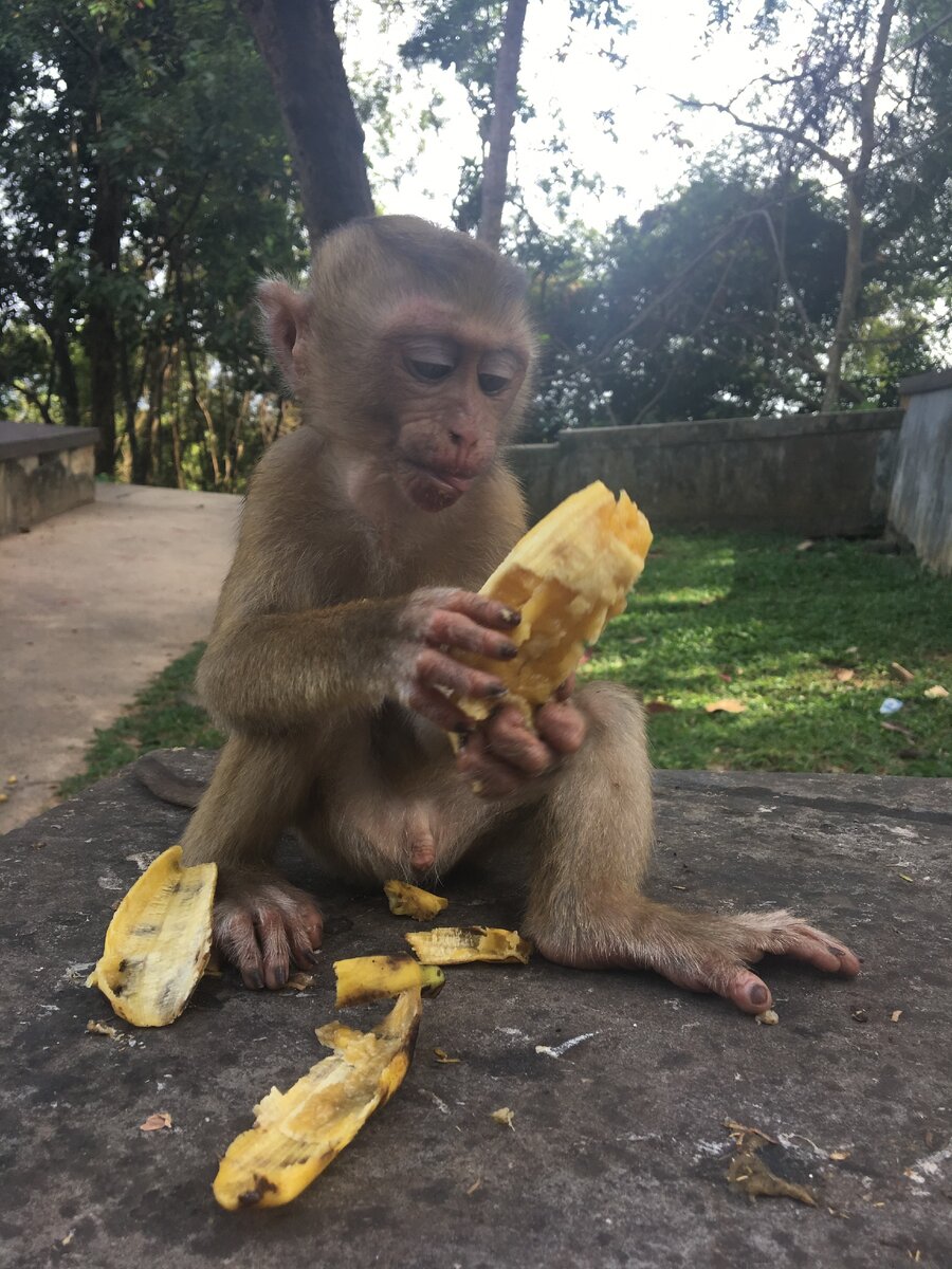 личное фото!