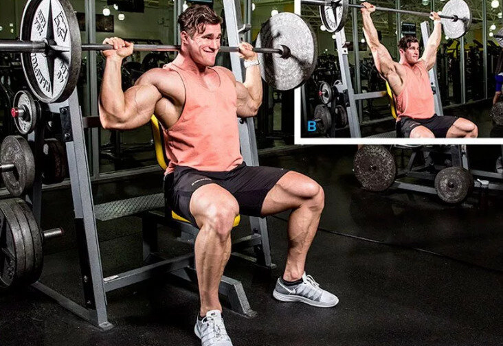 Источник: https://mykorus.ru/health/transformiruem-deltovidnye-myshtsy.html