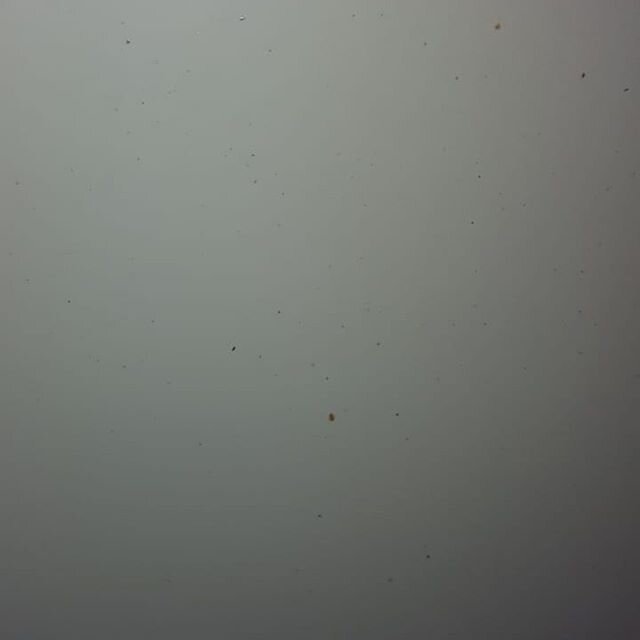 Плохо видно,но они есть.