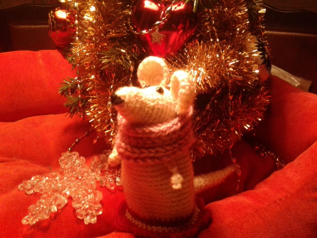 Крыса в новогоднюю ночь!