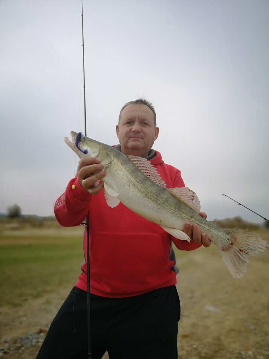 Вот какие  судачки водятся на реке ЭБРО