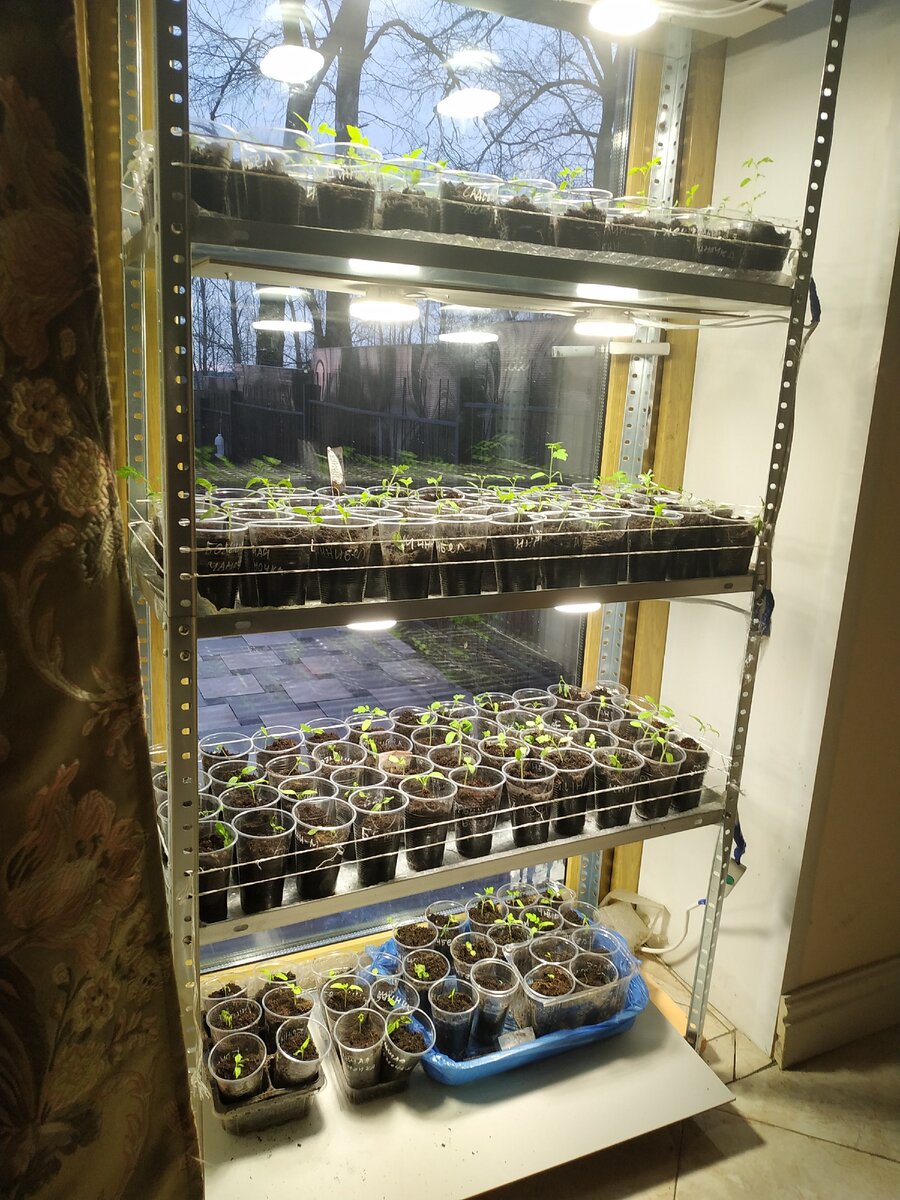 Готовый стеллаж для выращивания растений *90*40 купить в Москве