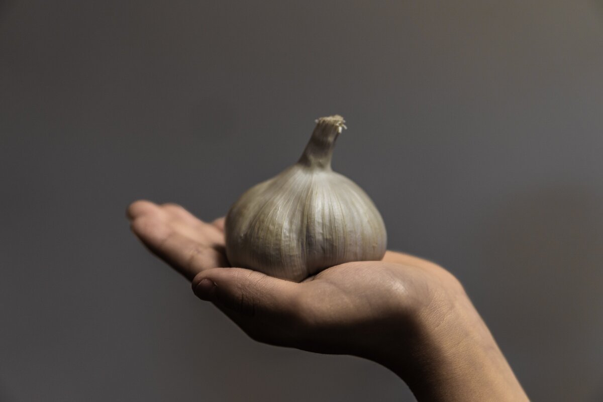 unsplash.com