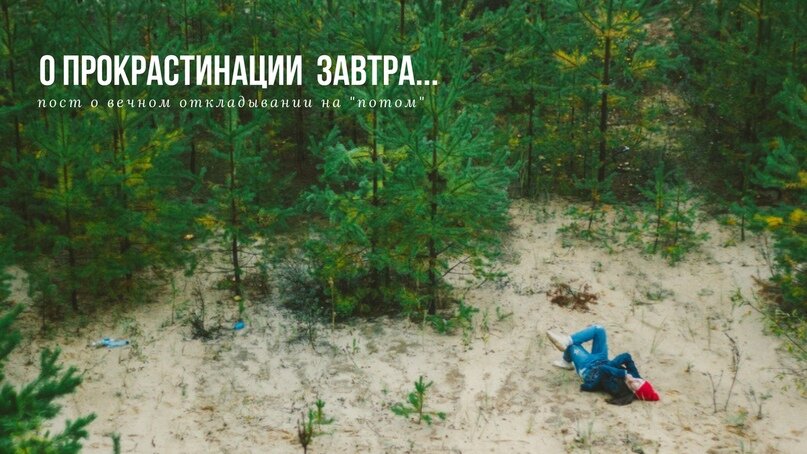 Прокрастинировать можно и в лесу: это хотя бы полезно и красиво.