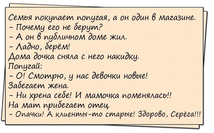 Попугай