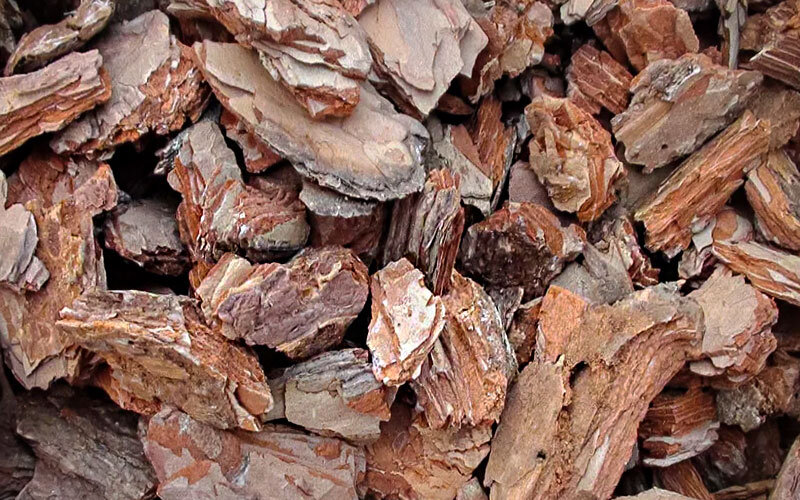 Мульчирование почвы древесной корой, это очень красивый и полезный способ.