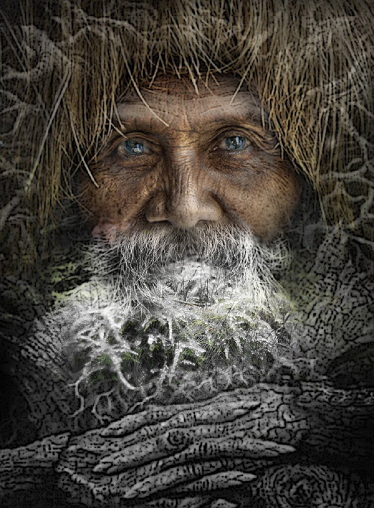 картинка из открытых источников.