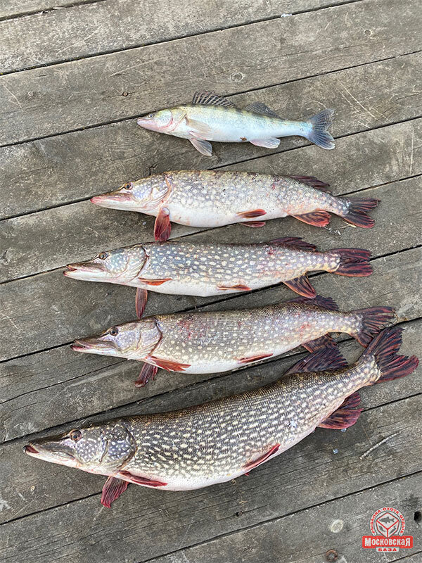 Икорка получилась просто пальчики оближешь