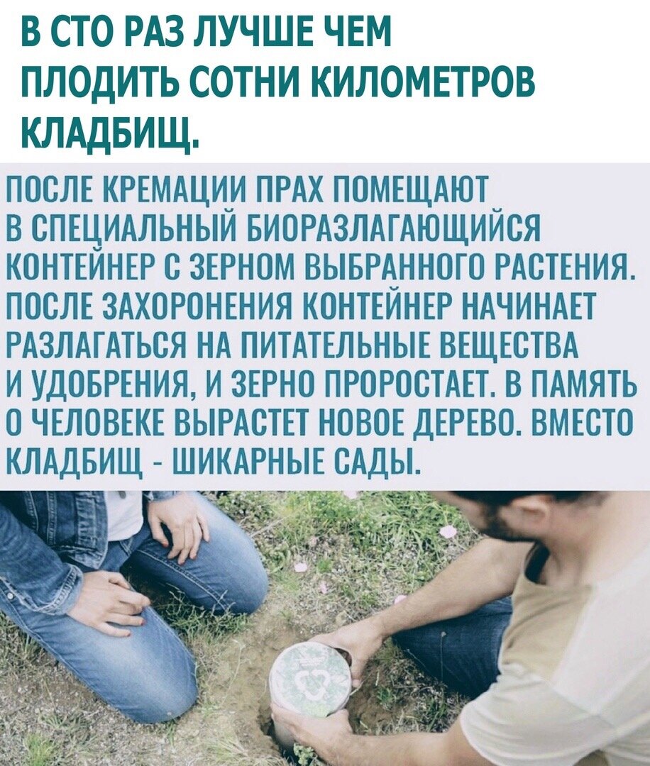 С уважением Сибирёва Виктория.