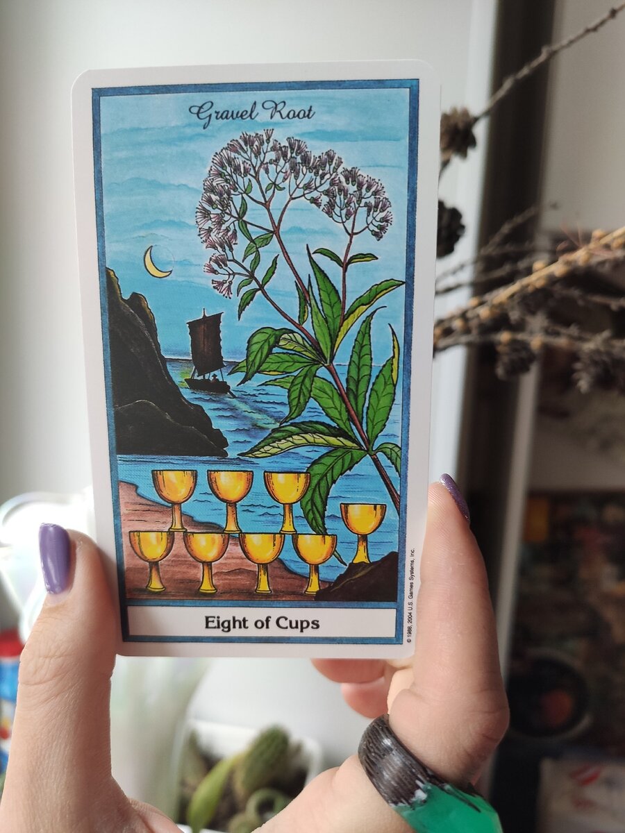 Вот он, посконник пурпурный в колоде Herbal Tarot
