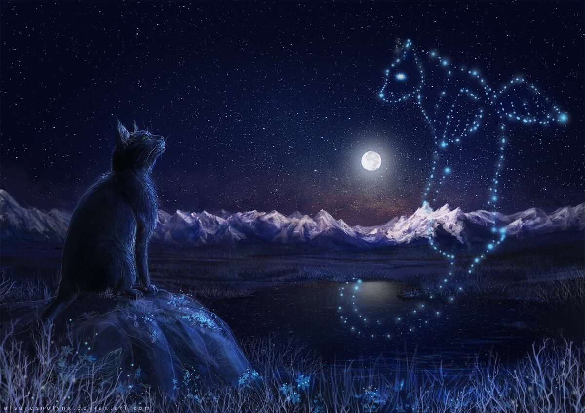 Как тяжело друзей терять, которых ты любил ласкать...
Кто лапкой по утрам будил
...и тихо молочка просил...
Где ты сейчас? Твоя Душа?!!
За мною ходишь не спеша?!
Вернёшься ль ты ко мне мой друг?!
Сквозь вереницу лет и вьюг?...
Иль встретимся с тобой уже-
В Мире Теней – на этаже-
Где мост хрустальный в Небесах
Стоит в счастливых Светлых снах....
(посвящается памяти Джоника)