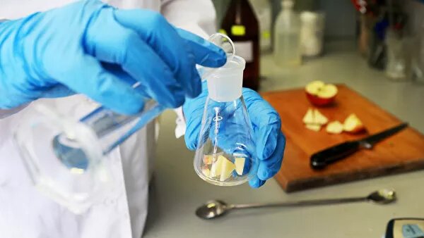 Эксперимент с дольками яблок. © РИА Новости / Александр Натрускин 