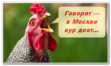 Доят сиськи машиной
