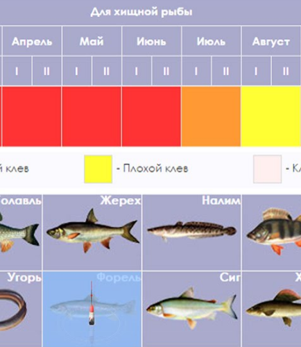 Календарь клева щуки по месяцам - Календарь, Рыбалка, Дождливая погода