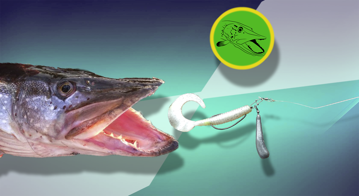 Ставьте лайк и подписывайтесь на канал! Вы поможете развитию канала!