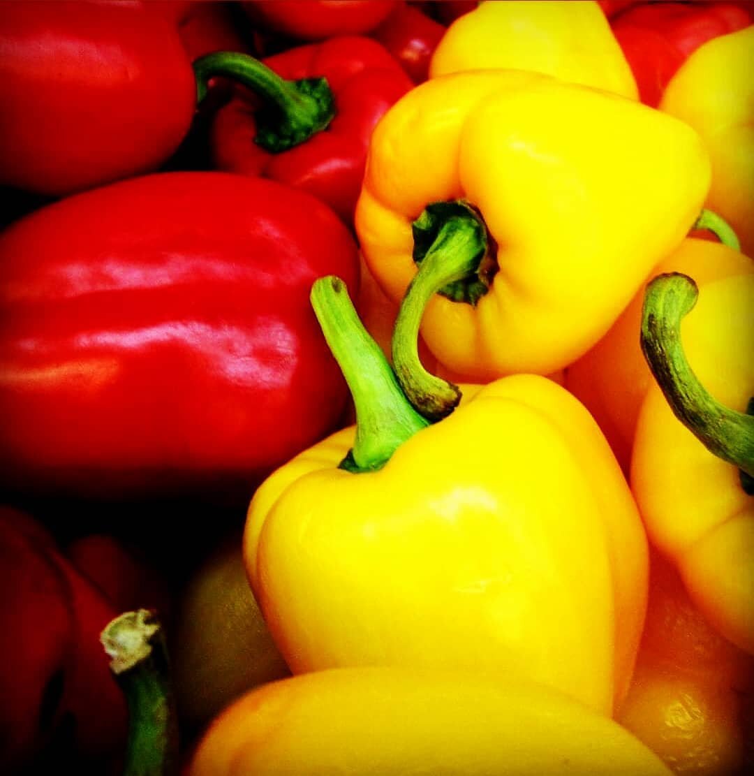 Болгарский перец