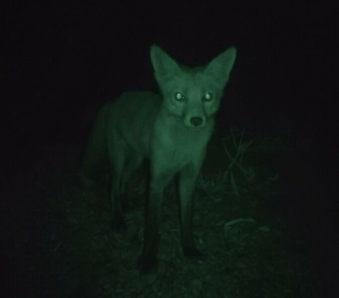 Фото Петра Склярова