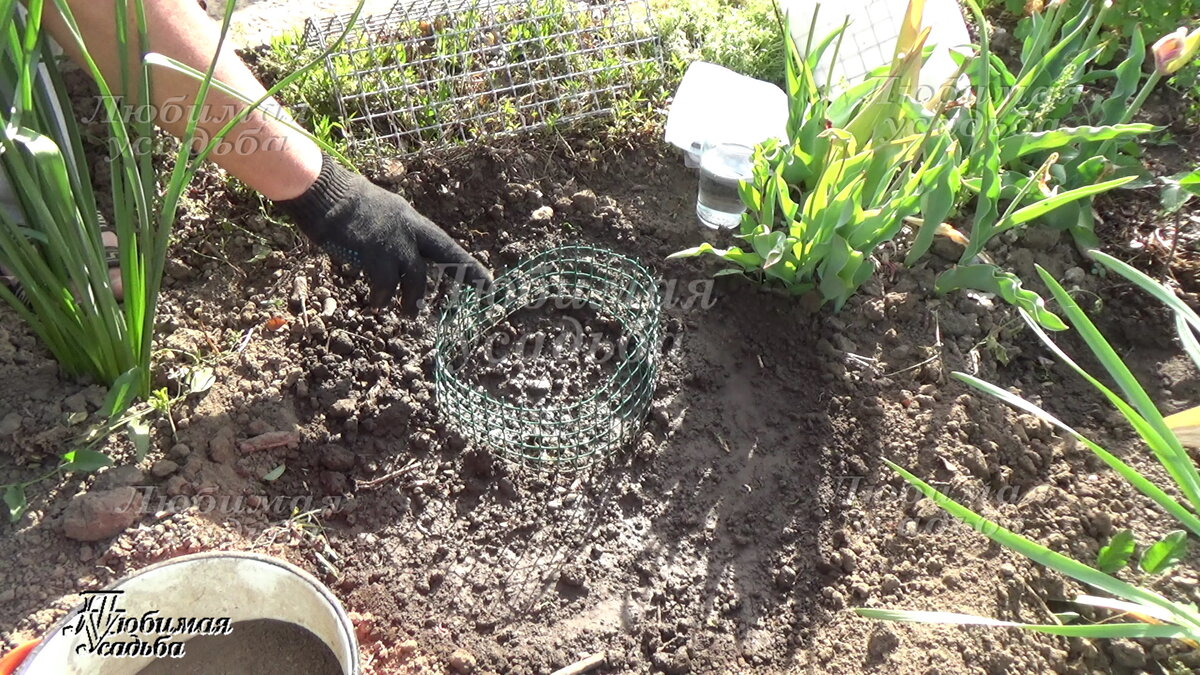 Тут крот не пройдет