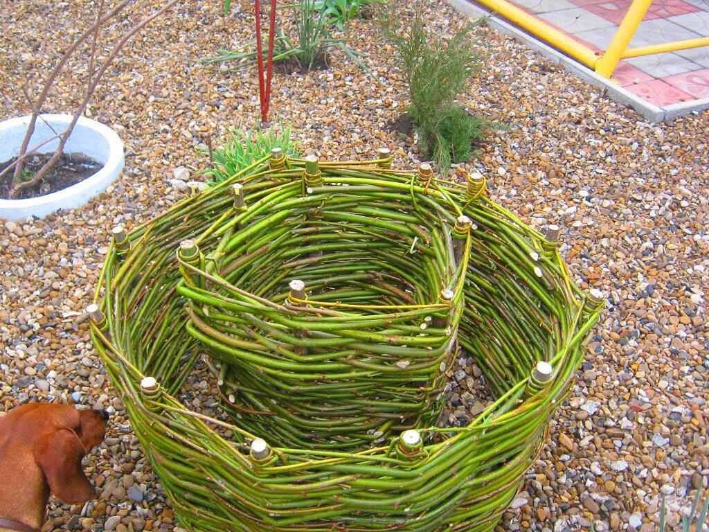 Клумба готова, Сосиска - помощник (фото автора)