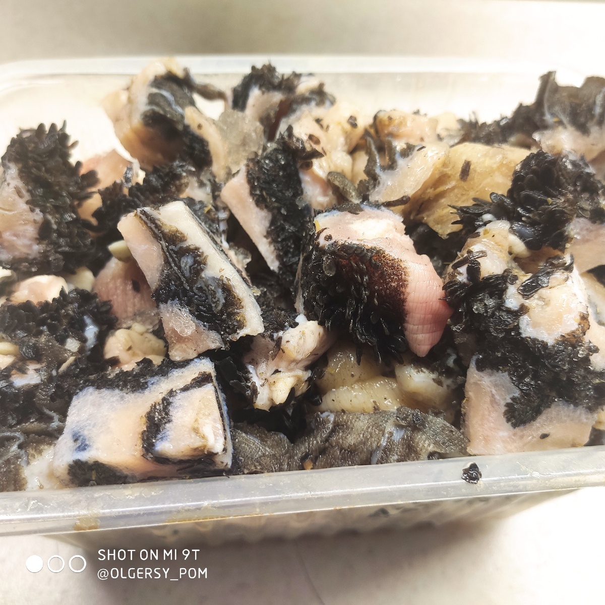 А это рубец порезанный, расфасованный в баночку на 1 кормление.