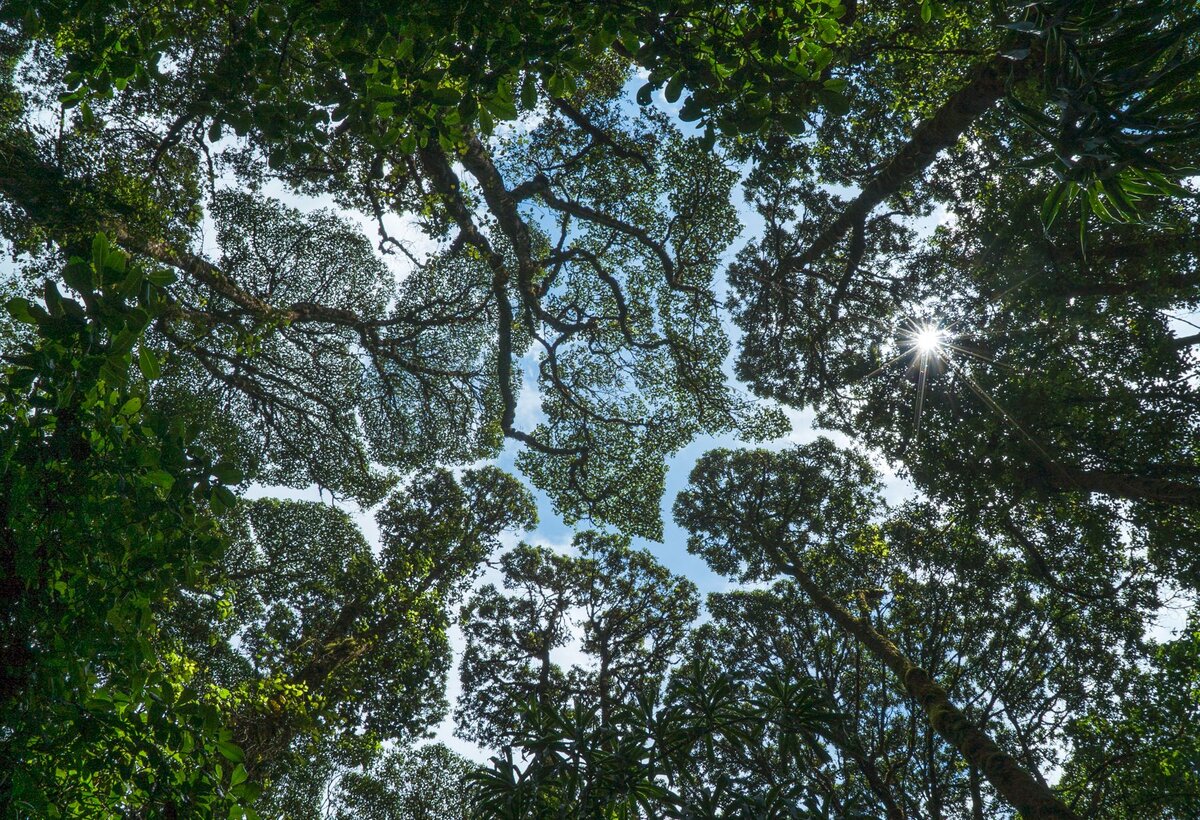 Источник: Яндекс картинки