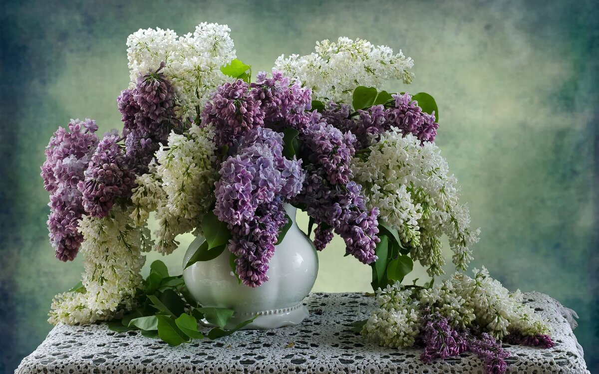 Букет сирени